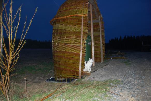 Tolvasen Pajutila
Vitsi�l�, Ristiina
Roskakatos
Siperianpaju