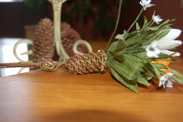 Tolvasen Pajutila
Vitsi�l�, Ristiina
Punapaju, Salix purpurea